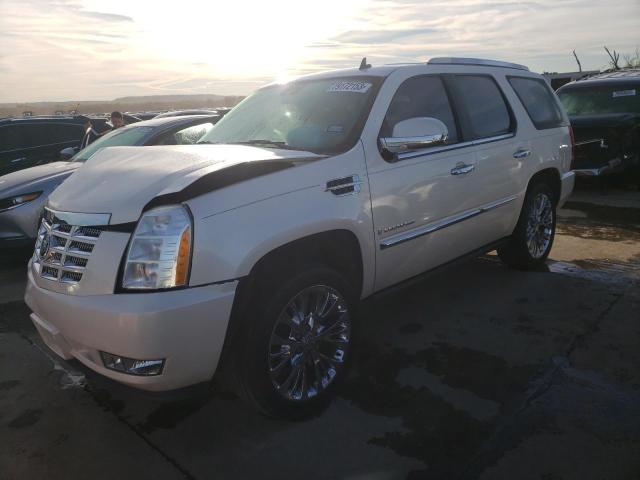 2007 CADILLAC ESCALADE LUXURY 2007 image