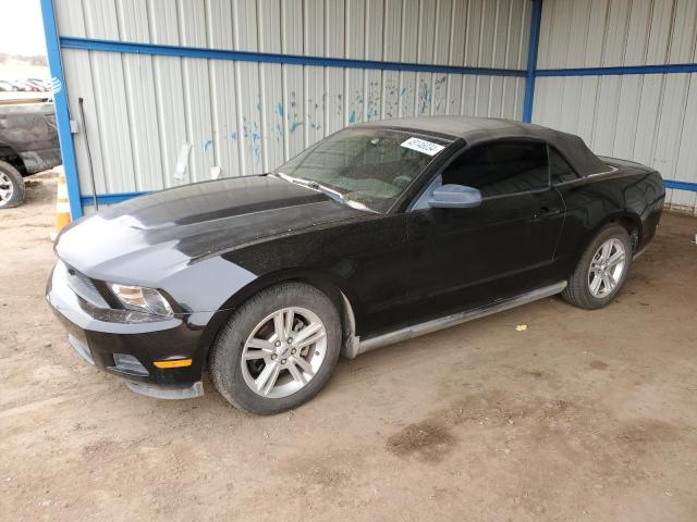 Image 1 of 2010 FORD MUSTANG  2010 with VIN 1ZVBP8EN1A5122424