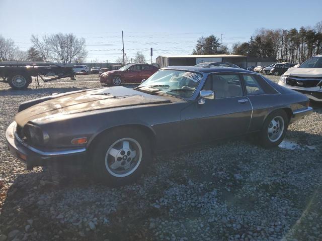 1986 JAGUAR XJS  1986 image