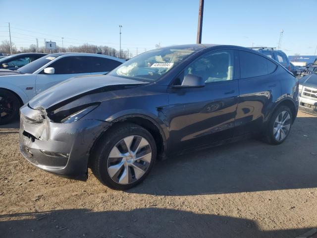 2023 TESLA MODEL Y  2023 image