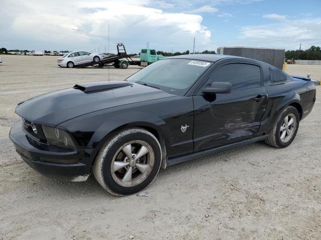 2009 Ford Mustang 2009 image