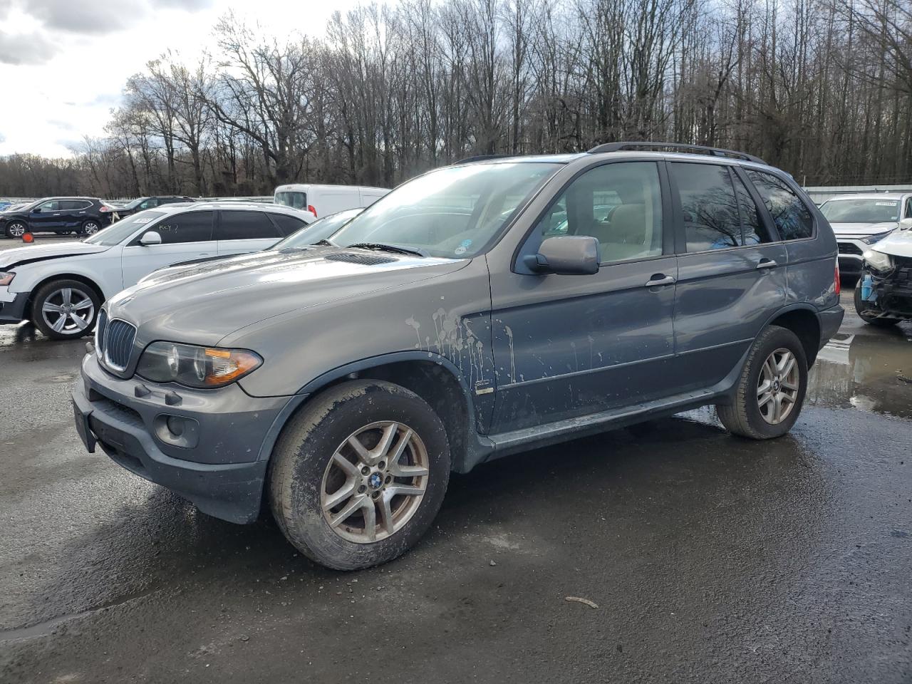 2006 BMW X5 3.0I 2006 image