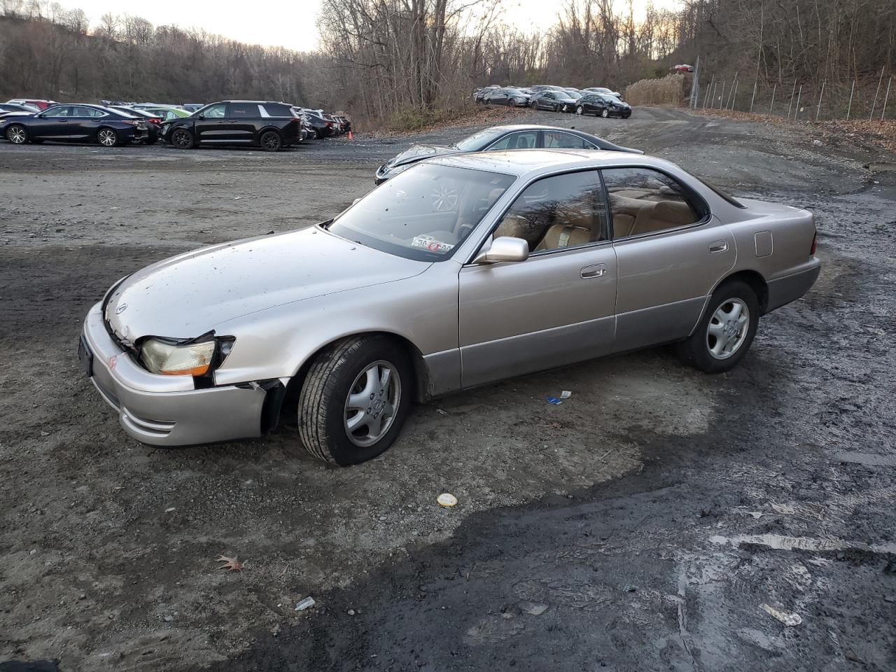 1996 LEXUS ES 300 1996 image