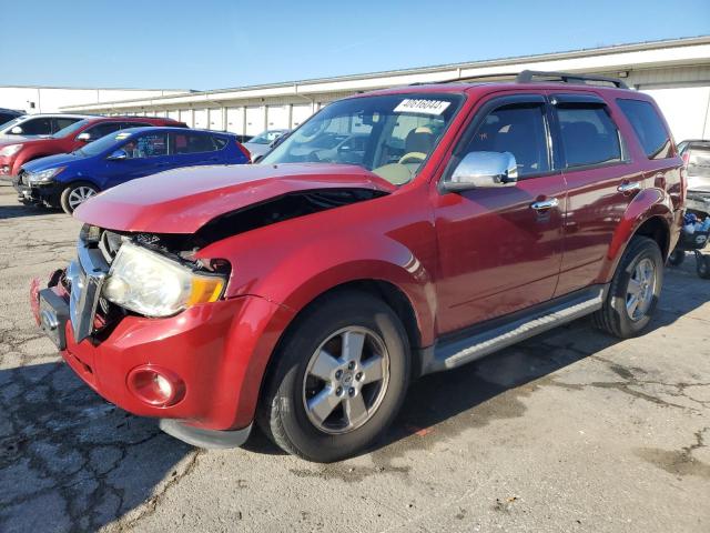 Obraz 1 z 2010 FORD ESCAPE XLT 2010 z VIN 1FMCU0DG4AKA12033