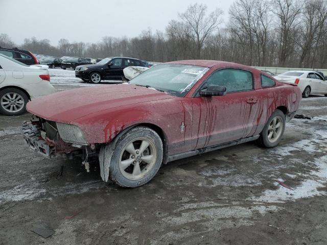 Image 1 of 2008 FORD MUSTANG  2008 with VIN 1ZVHT80N485173360