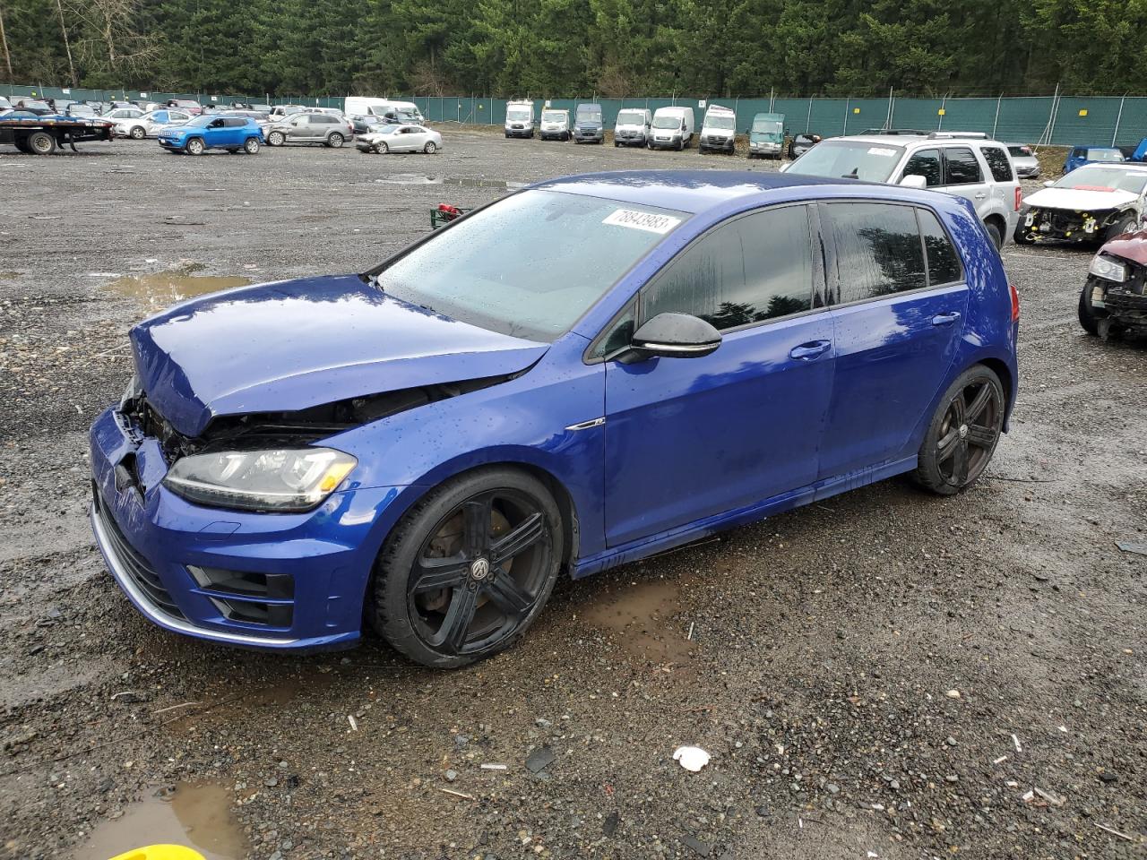 Obraz 2016 VOLKSWAGEN GOLF R  2016