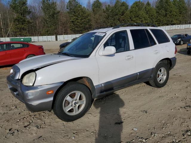 Obraz 2004 HYUNDAI SANTA FE GLS 2004
