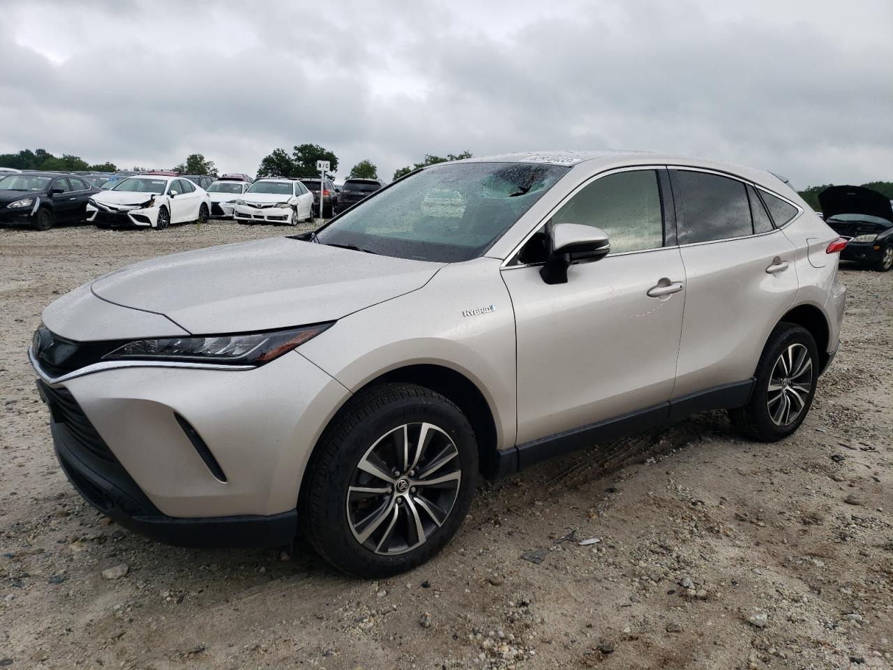 2021 TOYOTA VENZA LE 2021 image