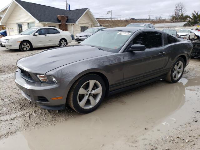 Image 1 of 2012 FORD MUSTANG  2012 with VIN 1ZVBP8AM5C5272102