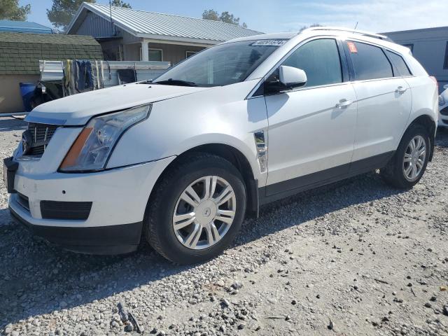 2012 CADILLAC SRX LUXURY COLLECTION 2012 image