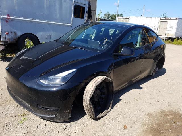2023 TESLA MODEL Y  2023 image