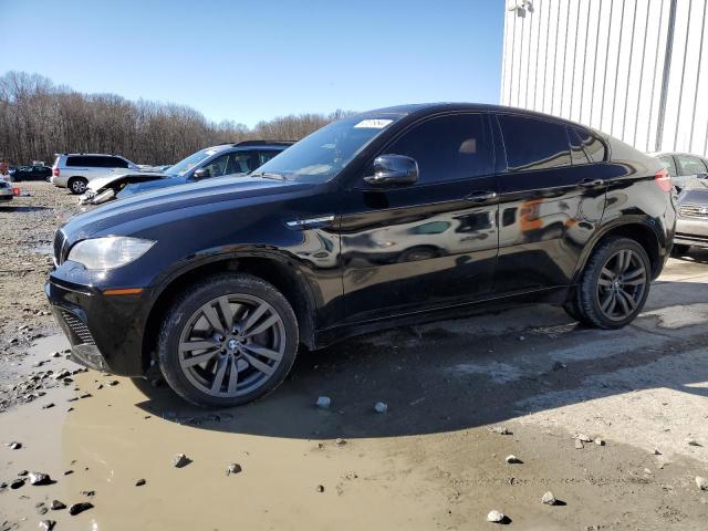 2011 BMW X6 M 2011 image
