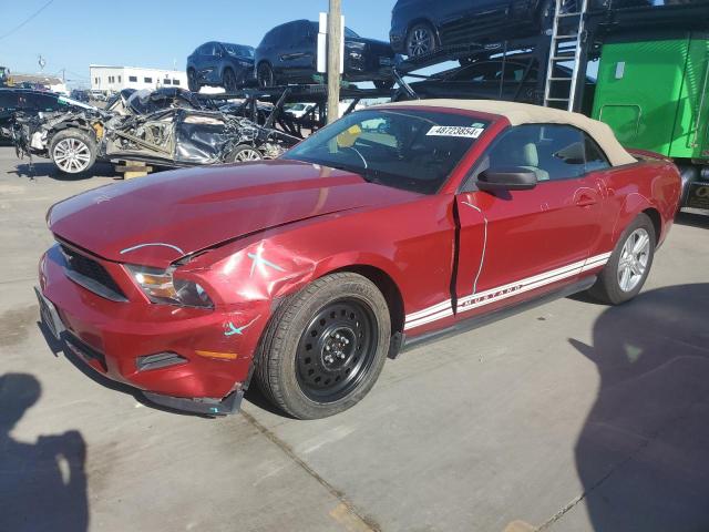 Изображение 1 2011 FORD MUSTANG  2011 с VIN 1ZVBP8EM8B5100607
