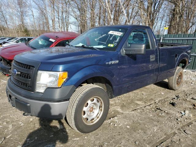 2013 FORD F150  2013 image