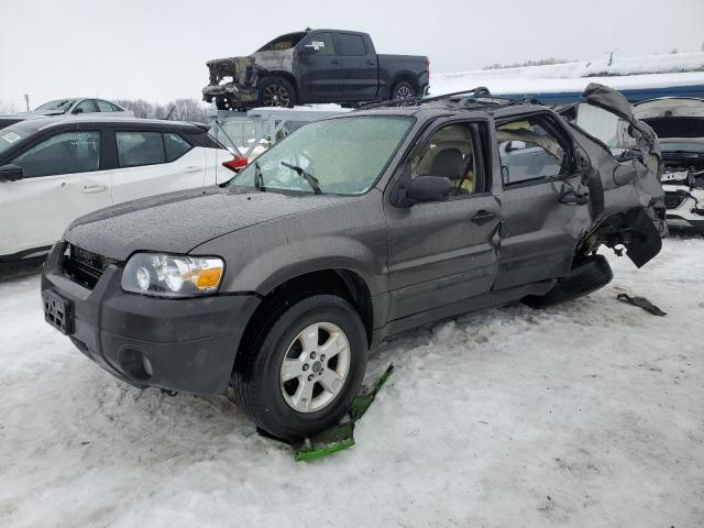 2006 FORD ESCAPE XLT 2006 image