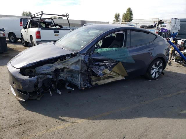 Image 1 of 2023 TESLA MODEL Y  2023 with VIN 7SAYGDEE3PF683269