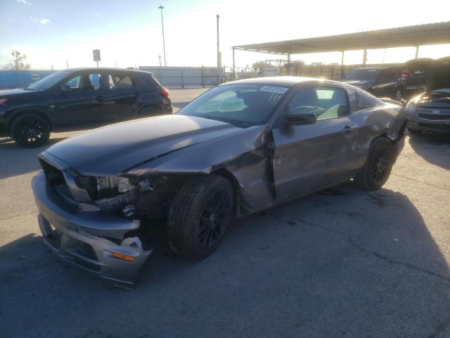 Obraz 2014 FORD MUSTANG  2014