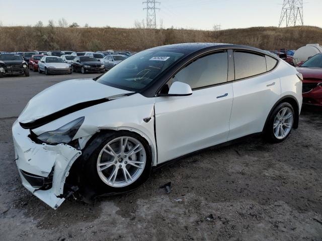 2023 TESLA MODEL Y  2023 image