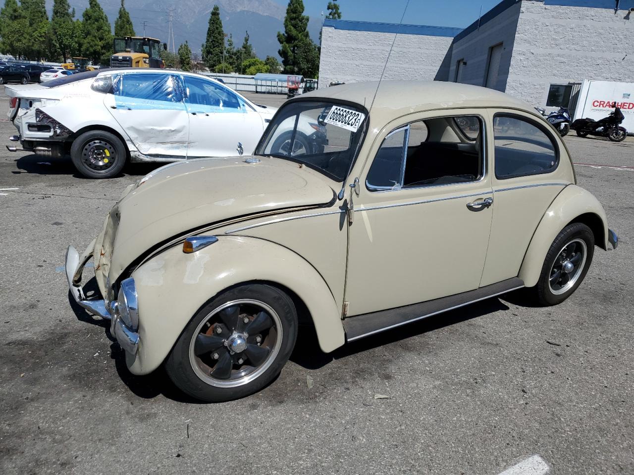 1967 VOLKSWAGEN BEETLE 1967 image