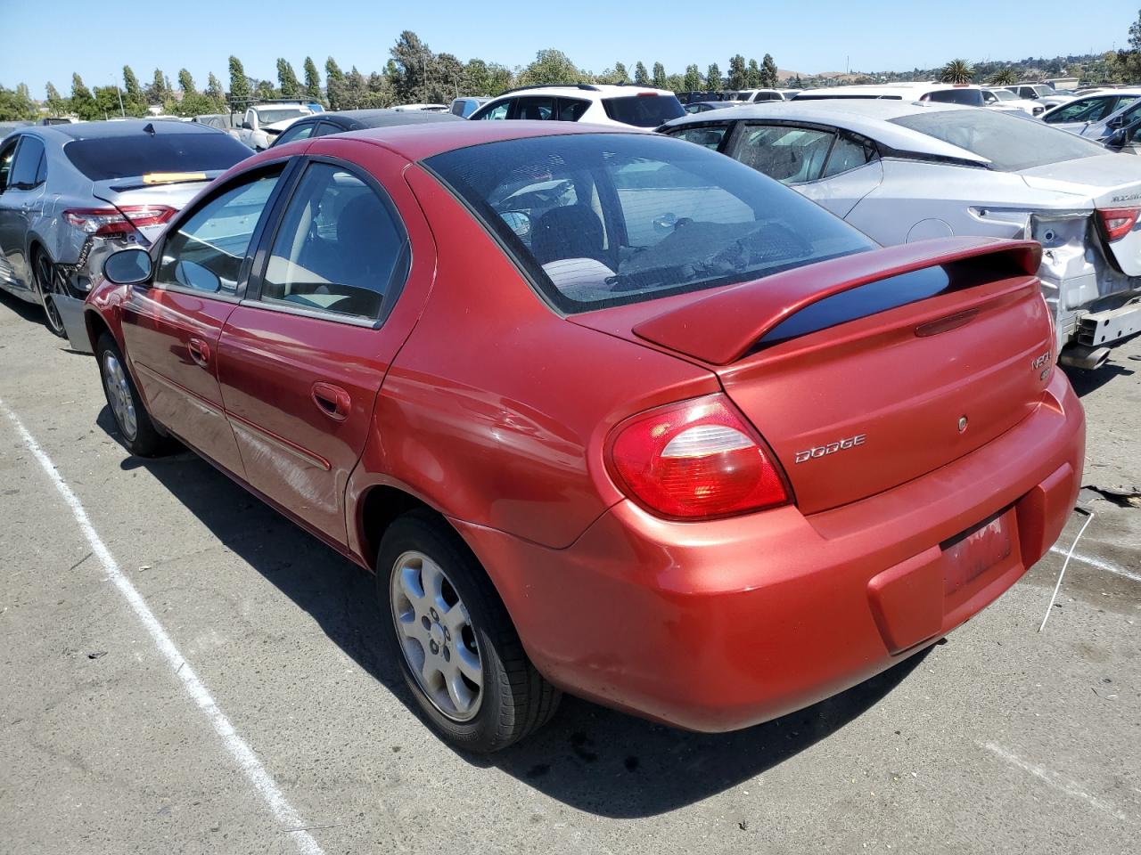 Image 2 of 2003 DODGE NEON SXT 2003 with VIN 1B3ES56C33D209780