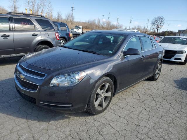 Image 1 of 2011 CHEVROLET MALIBU 1LT 2011 with VIN 1G1ZC5E19BF241688
