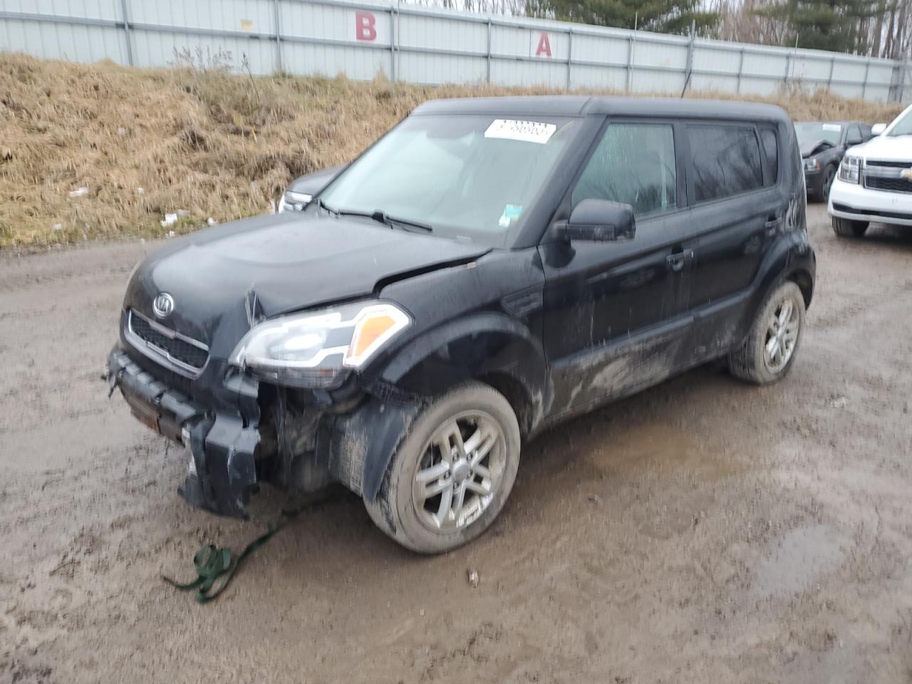 Obraz 2011 KIA SOUL + 2011