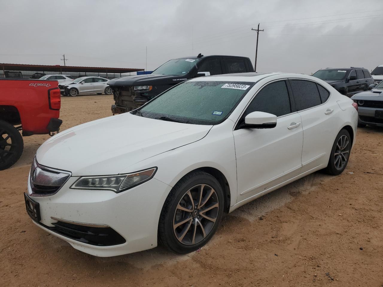 Obraz 2017 ACURA TLX  2017