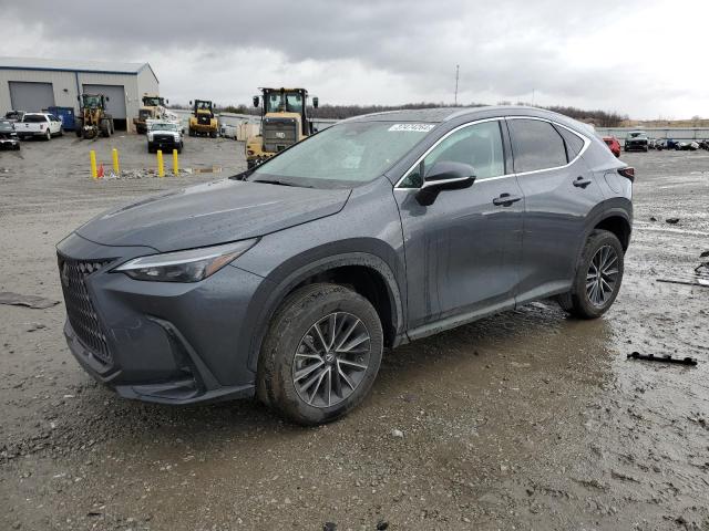 Obraz 2022 LEXUS NX 250 2022