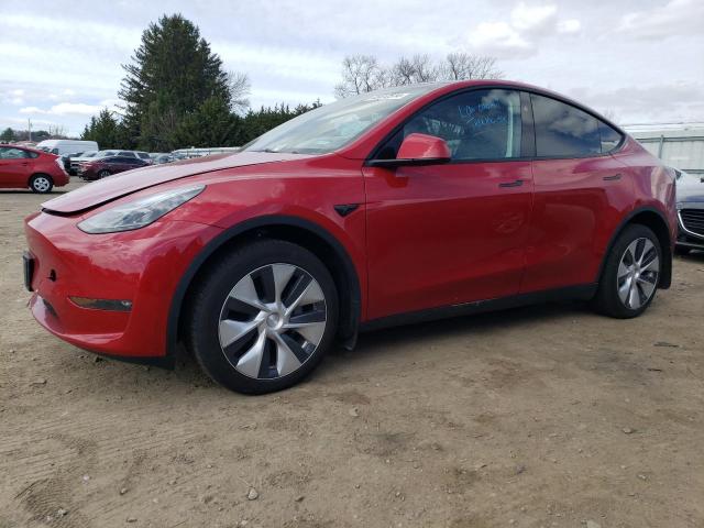 2023 TESLA MODEL Y  2023 image