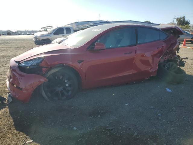 2021 TESLA MODEL Y  2021 image