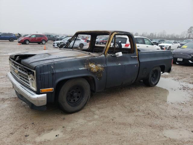 1981 CHEVROLET C10  1981 image