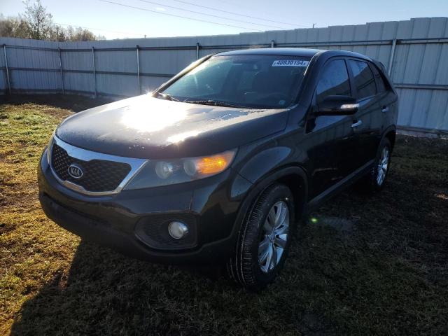 2011 KIA SORENTO EX 2011 image