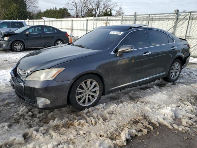 Obraz 2010 LEXUS ES 350 2010