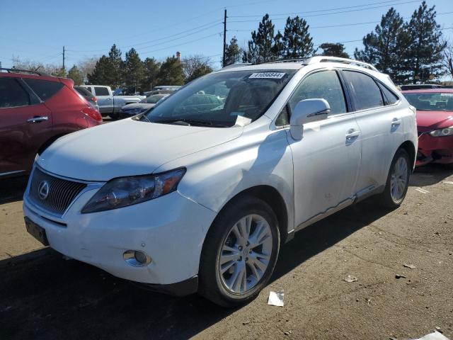 Изображение 2010 LEXUS RX 450 2010