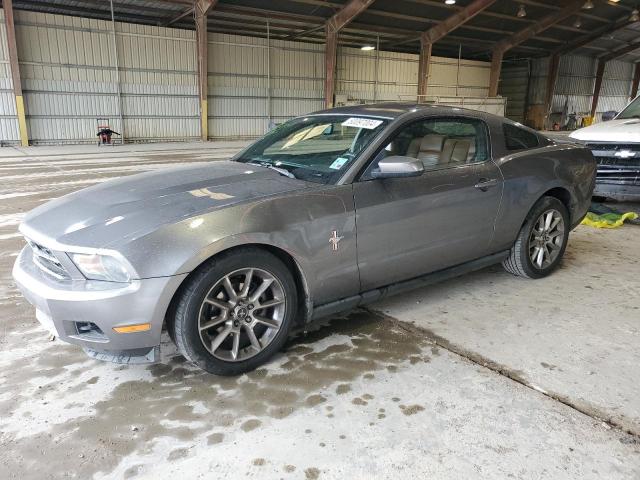 2010 FORD MUSTANG  2010 image