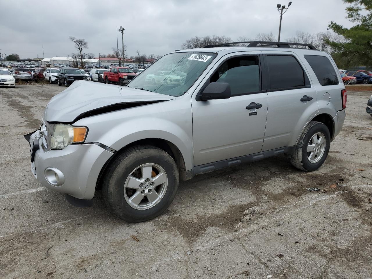 Obraz 2010 FORD ESCAPE XLT 2010