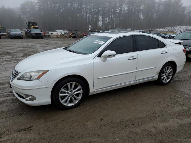 Obraz 2010 LEXUS ES 350 2010
