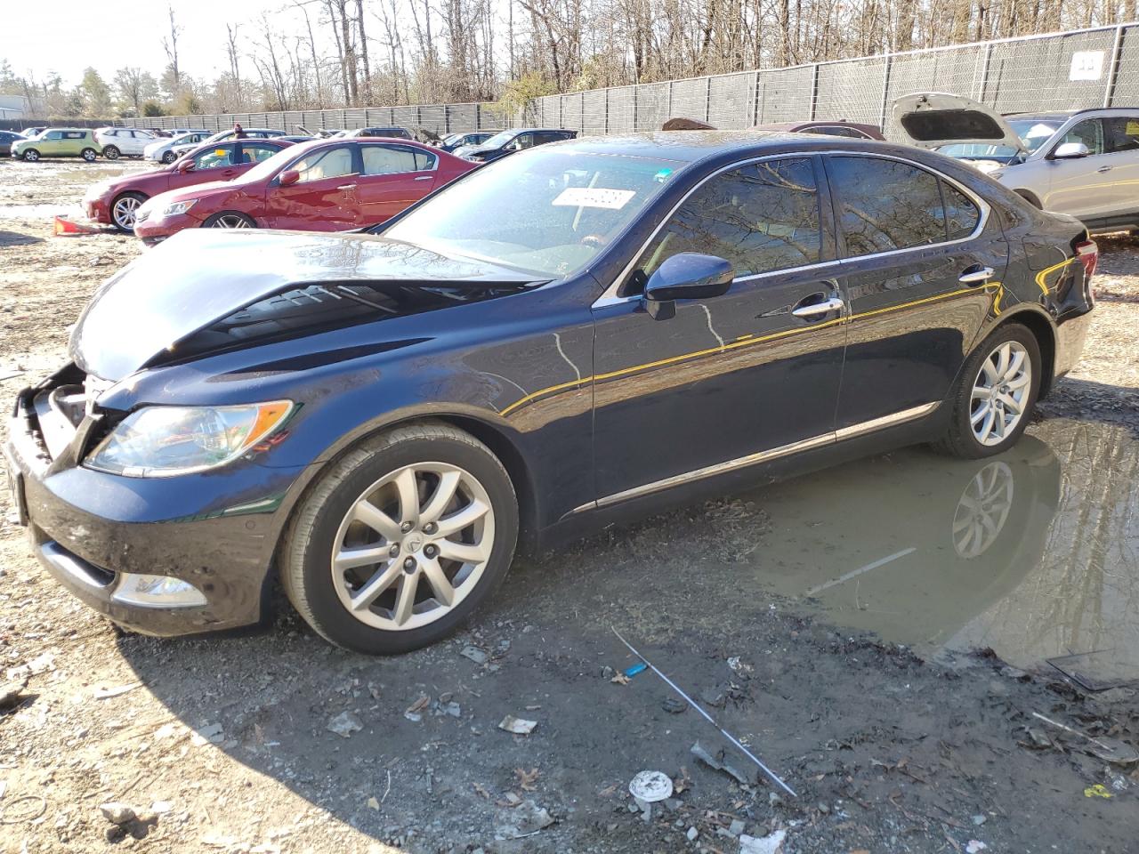2008 LEXUS LS 460 2008 image