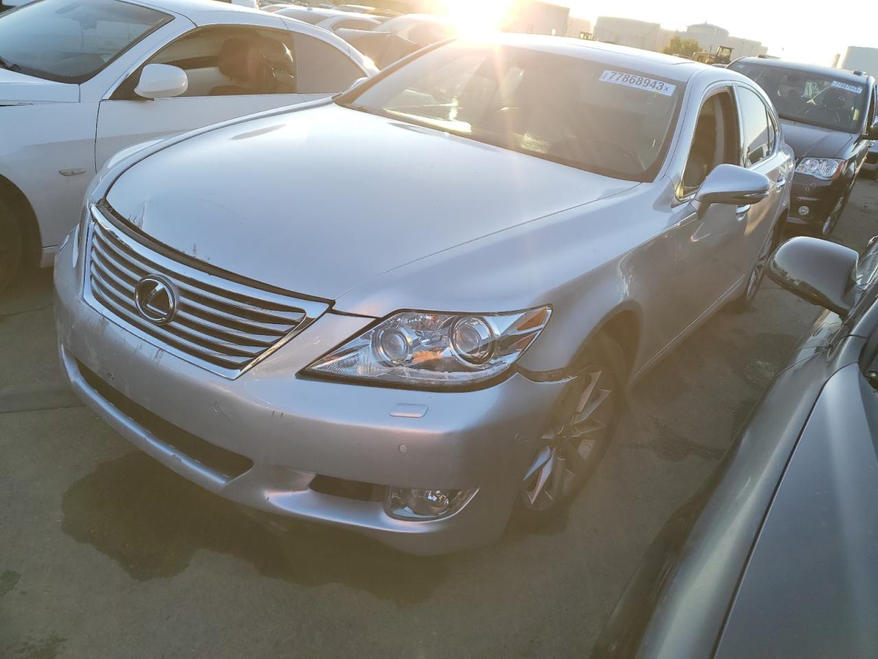 2010 LEXUS LS 460 2010 image