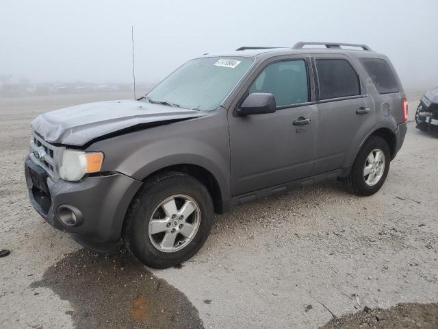 Image 1 of 2011 FORD ESCAPE XLT 2011 with VIN 1FMCU0D76BKB20994