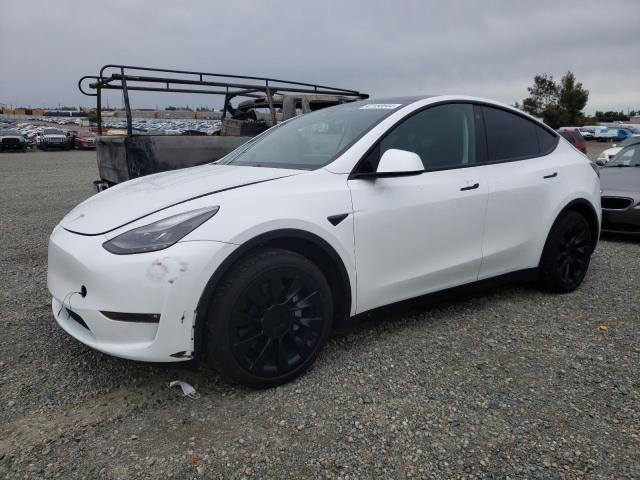 Изображение 1 2023 TESLA MODEL Y  2023 с VIN 7SAYGDEE4PF609570