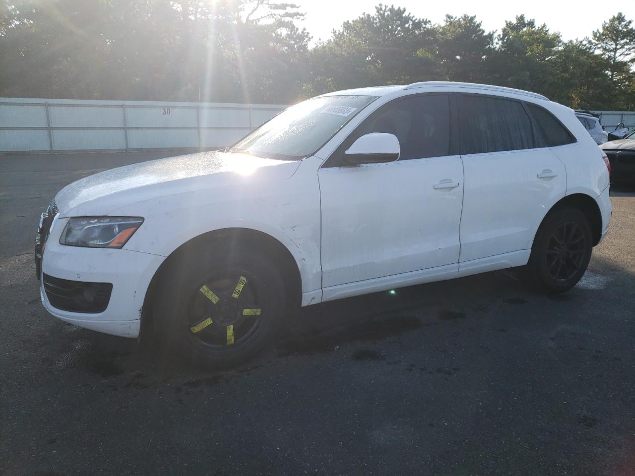 2009 AUDI Q5 3.2 2009 image