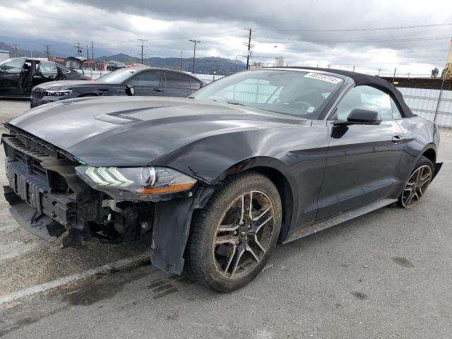 2019 FORD MUSTANG  2019 image