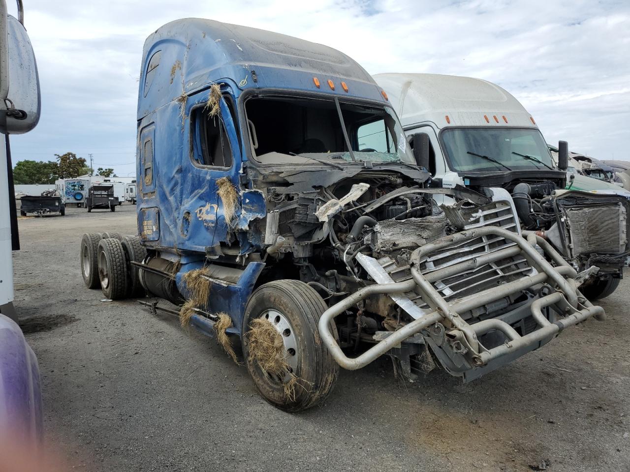 2015 FREIGHTLINER CASCADIA 125  2015 image
