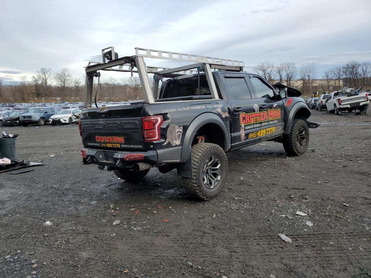 Изображение 3 2019 FORD F150 RAPTOR 2019 с VIN 1FTFW1RG1KFA22622