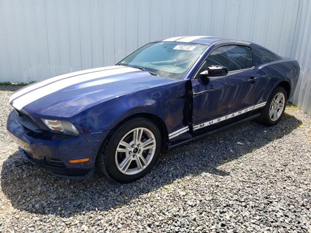 Obraz 2010 FORD MUSTANG  2010