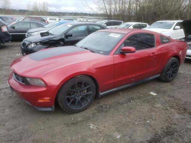 Obraz 2010 FORD MUSTANG GT 2010