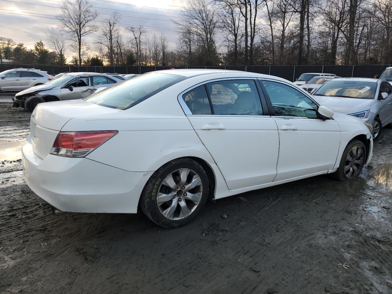 Image 3 of 2010 HONDA ACCORD EX 2010 with VIN 1HGCP2F76AA129124