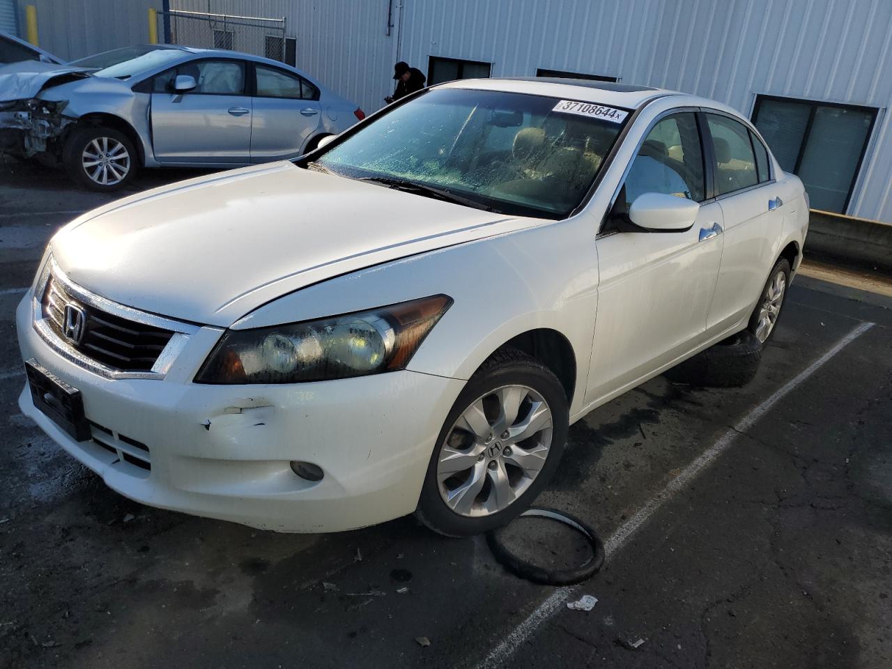 2008 HONDA ACCORD EXL 2008 image