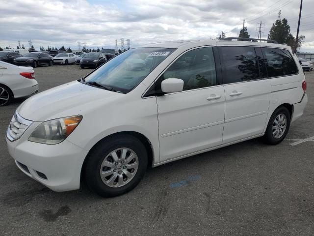 2008 HONDA ODYSSEY EXL 2008 image